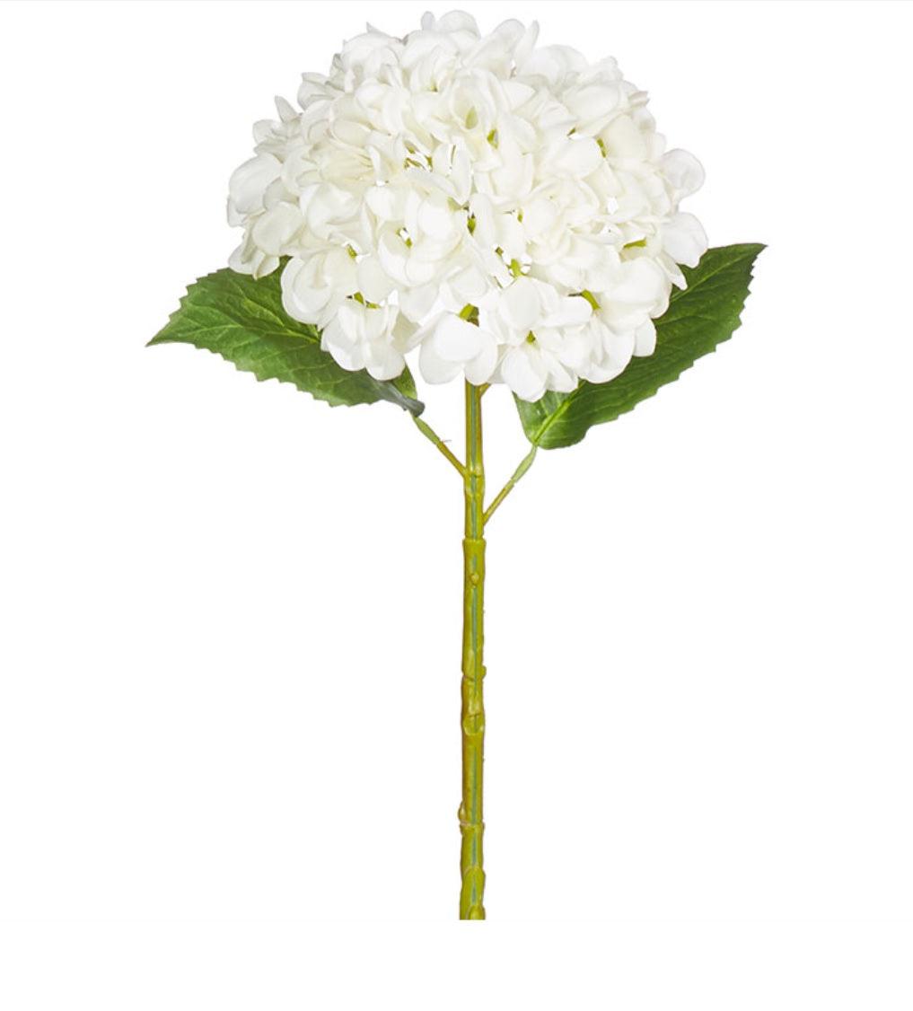    Real Touch White Hydrangea Cozy Cottage Co Fort Collins Colorado Home Decor