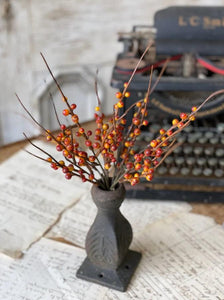 Rusty Berry Bush