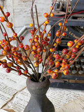 Rusty Berry Bush