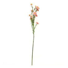 Salmon Aster - Single Stem Faux Flower