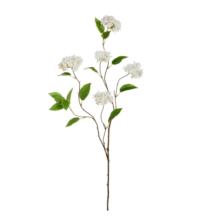 45" Snowball Hydrangeas