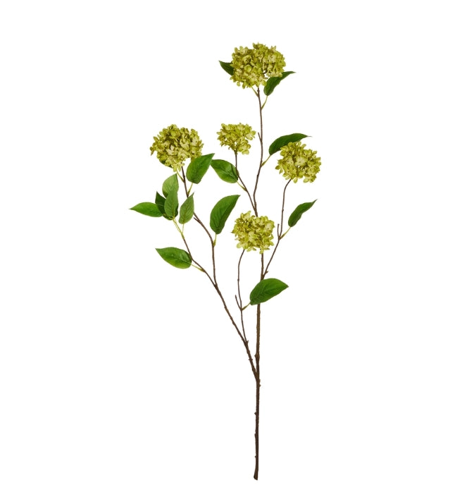 45" Green Snowball Hydrangeas