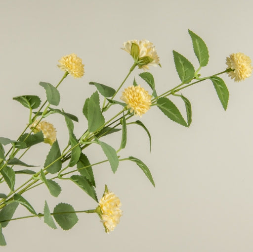 Yellow Mum Bush