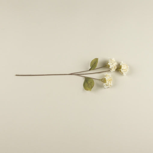 Pale Yellow Hydrangea Stem