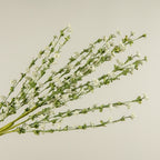 31" White Mini Berry Spray