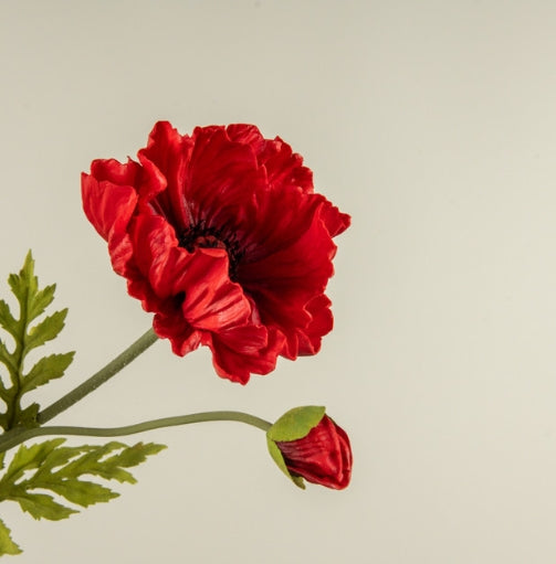 25" Red Poppy Stem