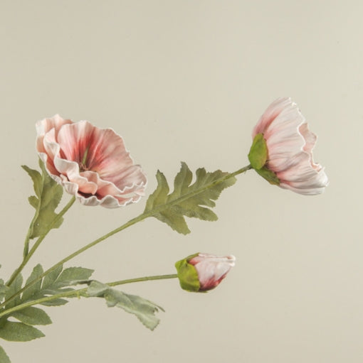 27" Light Pink Poppy Spray