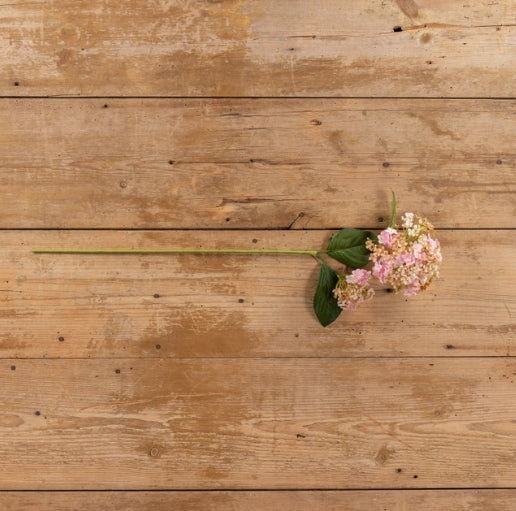 29" Blended Pink Hydrangea Spray