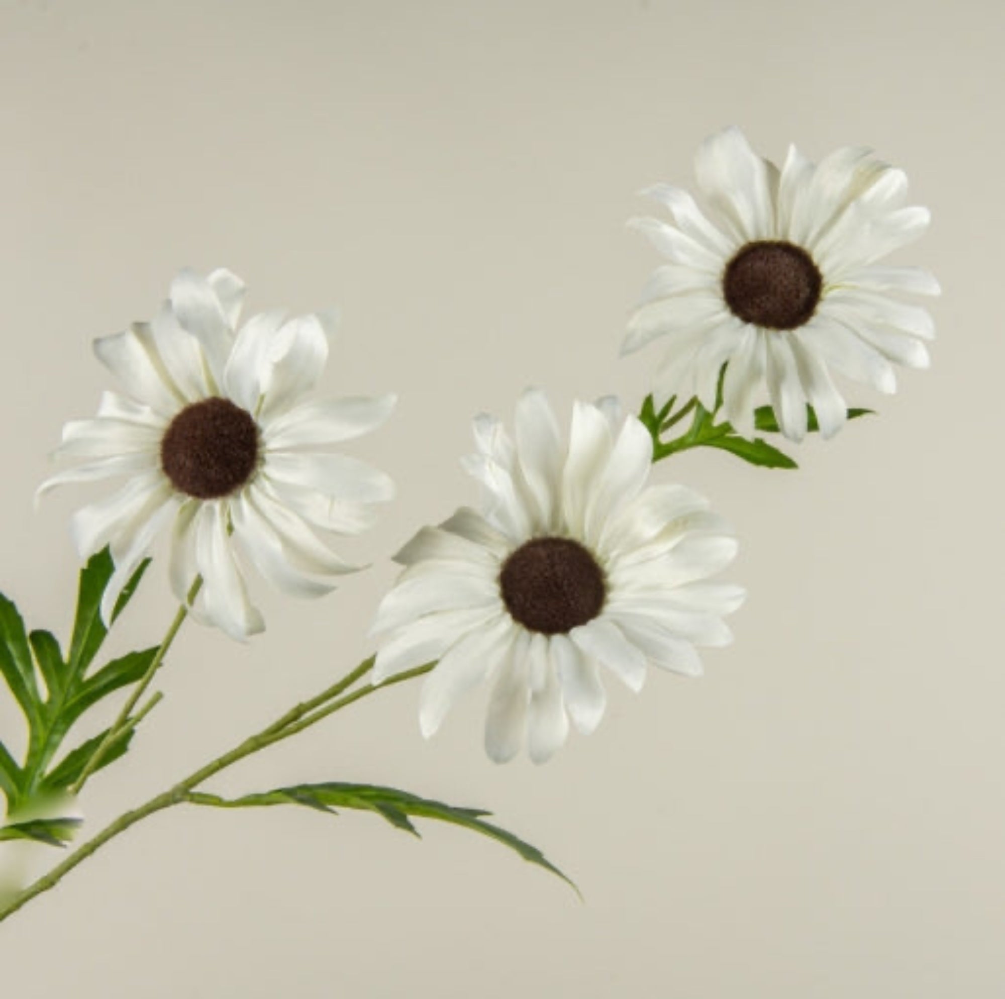 33" White Daisy Spray