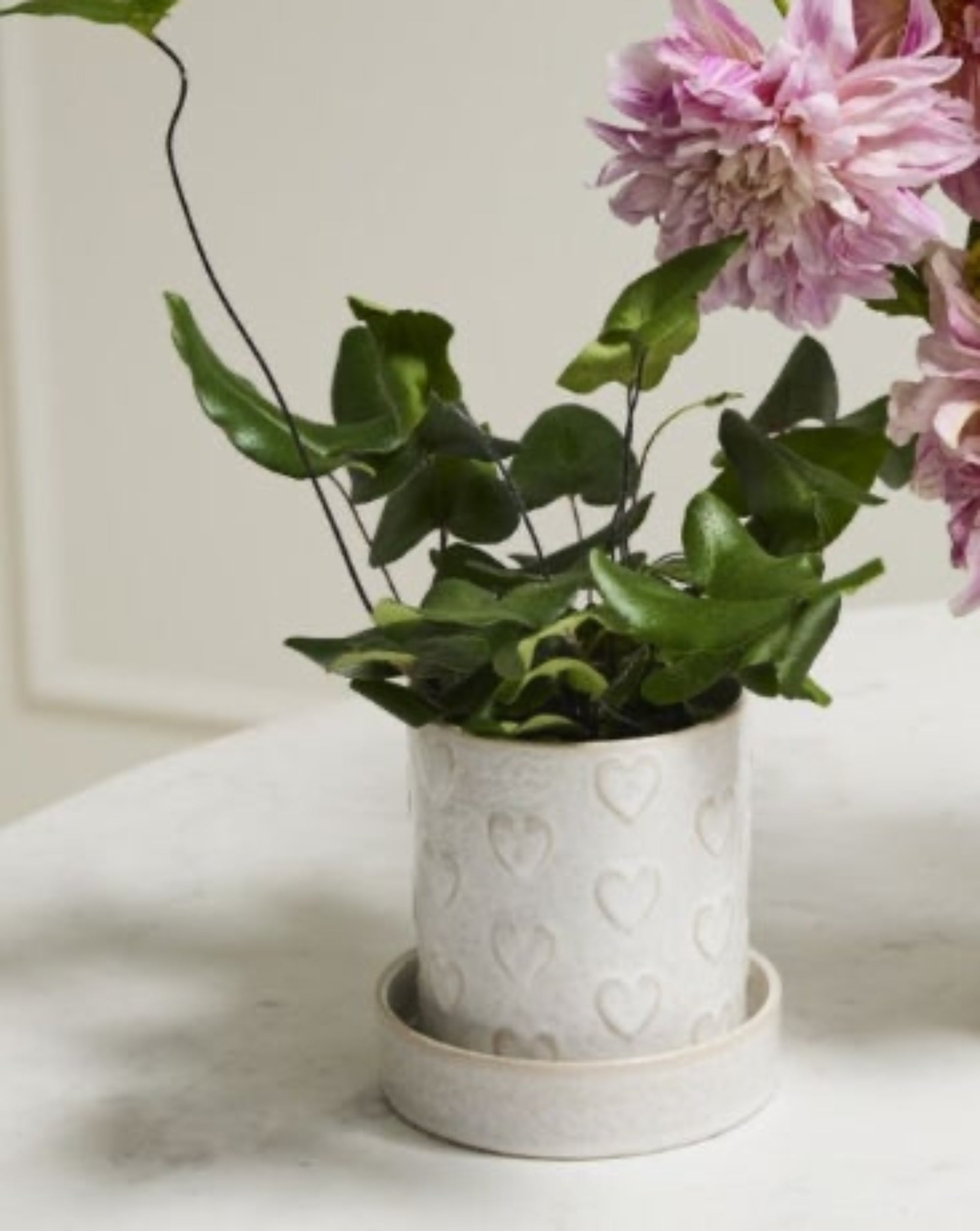 Heartfelt Pot w/ Saucer