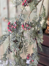 Red Hanging Siberian Cypress