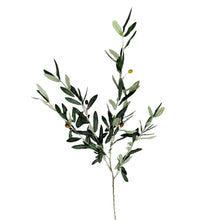 Spanish Olive Branch - Single Stem Faux Plant