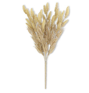 Tan Wheat Bush