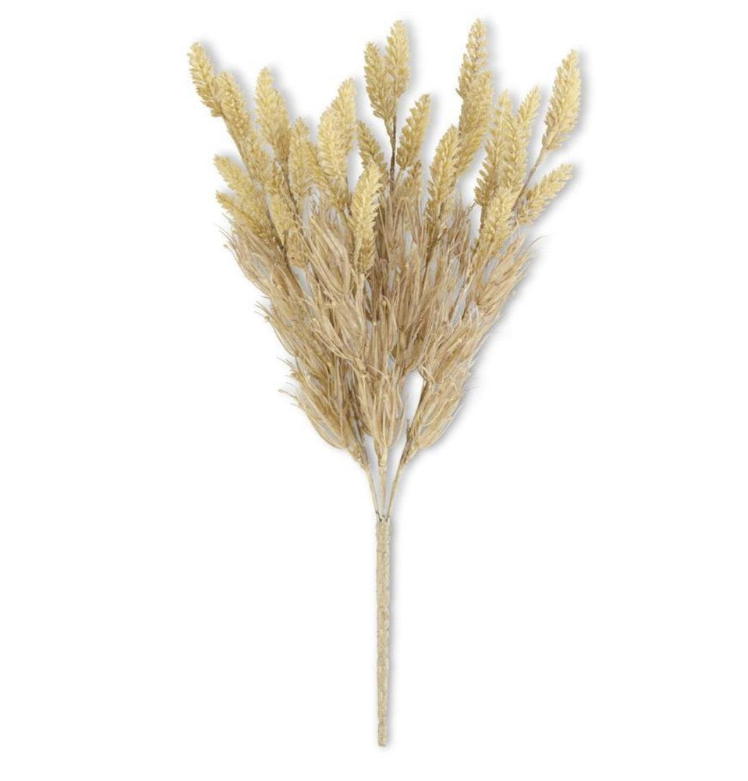 Tan Wheat Bush