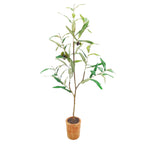 Tavelo Potted Olive Tree Plant Decor