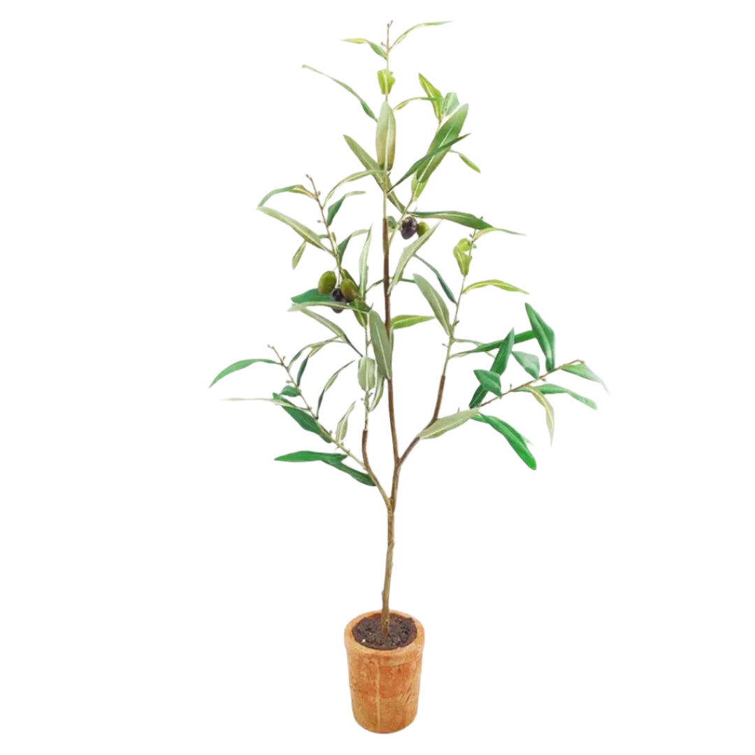 Tavelo Potted Olive Tree Plant Decor