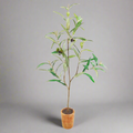 Tavelo Potted Olive Tree Plant Decor