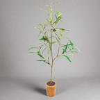 Tavelo Potted Olive Tree Plant Decor