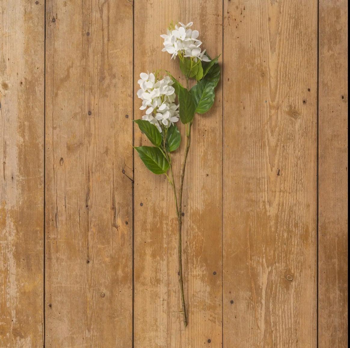 White_Cone_Hydrangea_Spray_Home_Decor_Cozy_Cottage_Fort_Collins_CO_