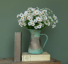 White Daisy Bush | 15"