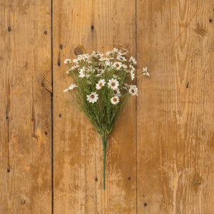 White Daisy Bush | 15"
