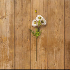 White_Poppy_Spray_Home_Decor_Cozy_Cottage_Fort_Collins_CO_1