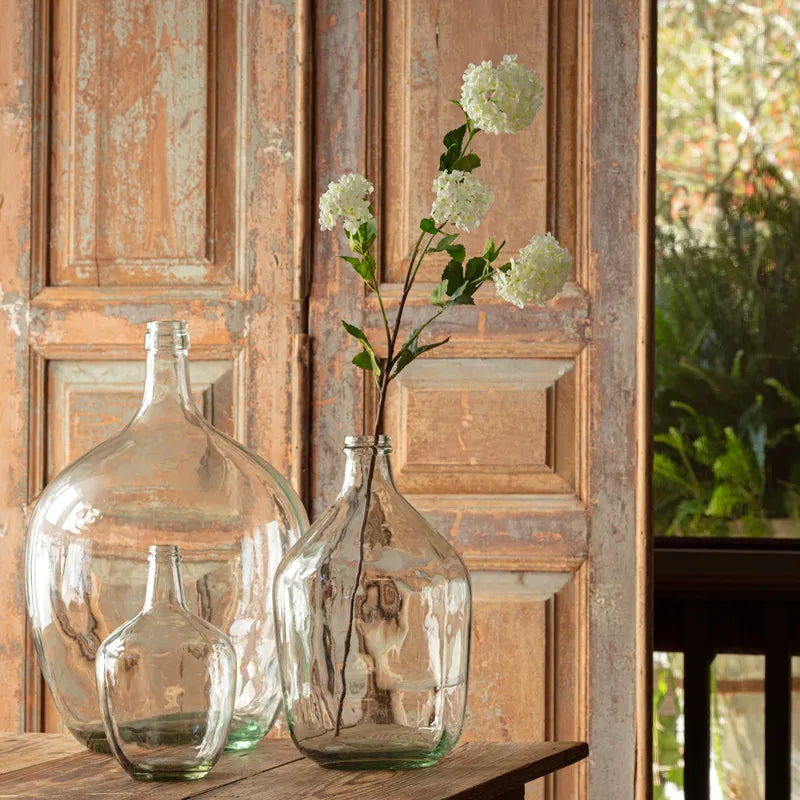 9" White Snowball Viburnum White