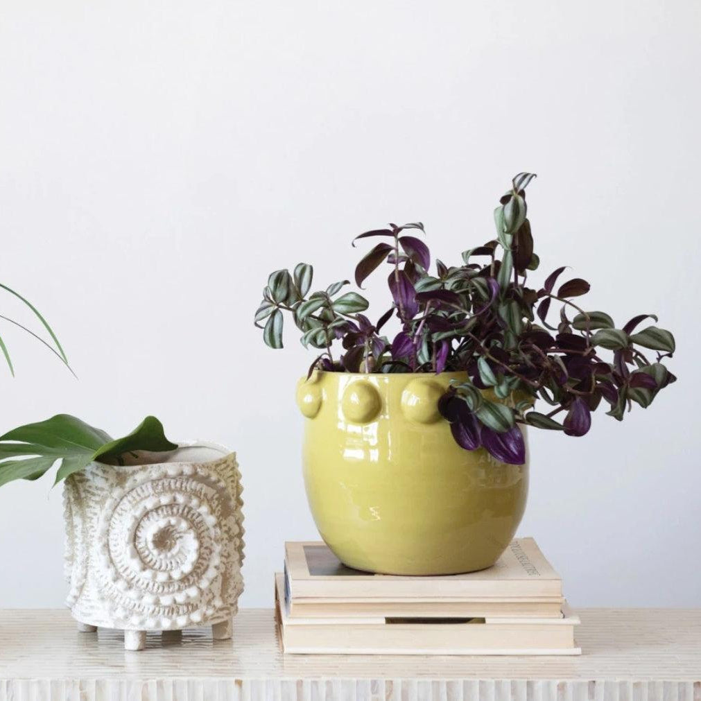 Yellow Pot with Dots