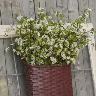 40" Cream Queen Anne Lace Spray