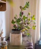 Wild Garden Faux Fig Stem 35.4"