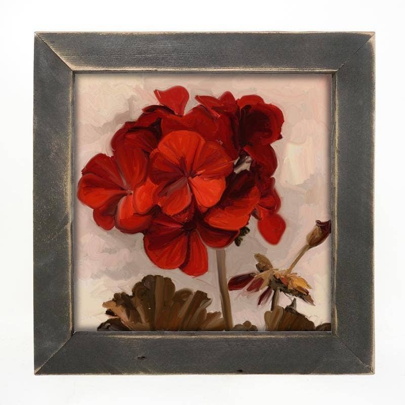 Geranium