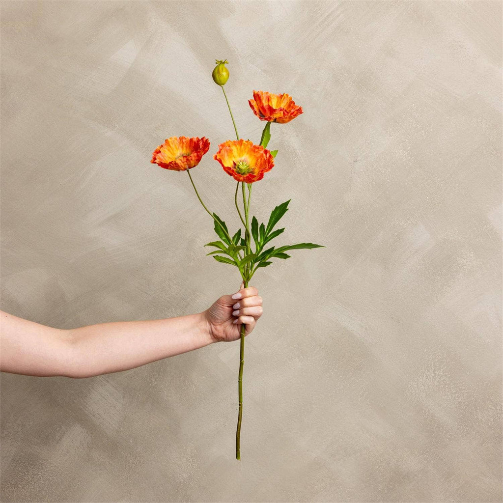 Poppy Dark Orange Stem
