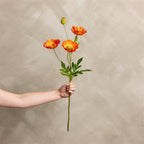 Poppy Dark Orange Stem