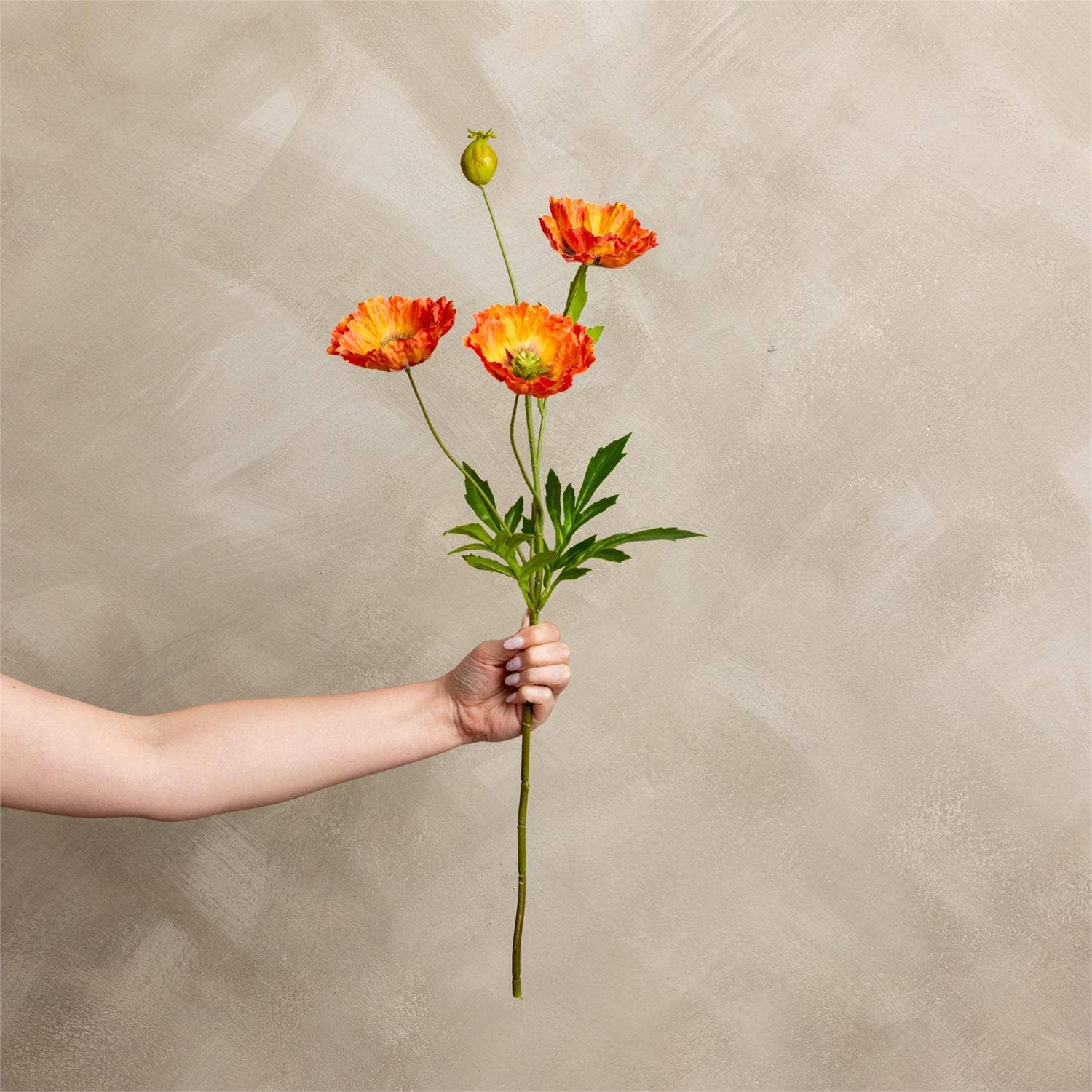 Poppy Dark Orange Stem