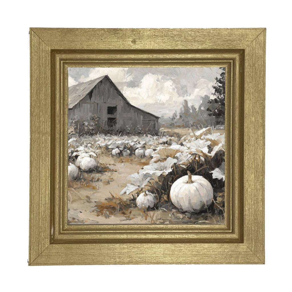 White Pumpkins in Field