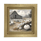 White Pumpkins in Field