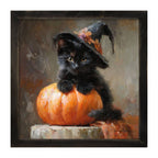 Black Kitten with Pumpkin