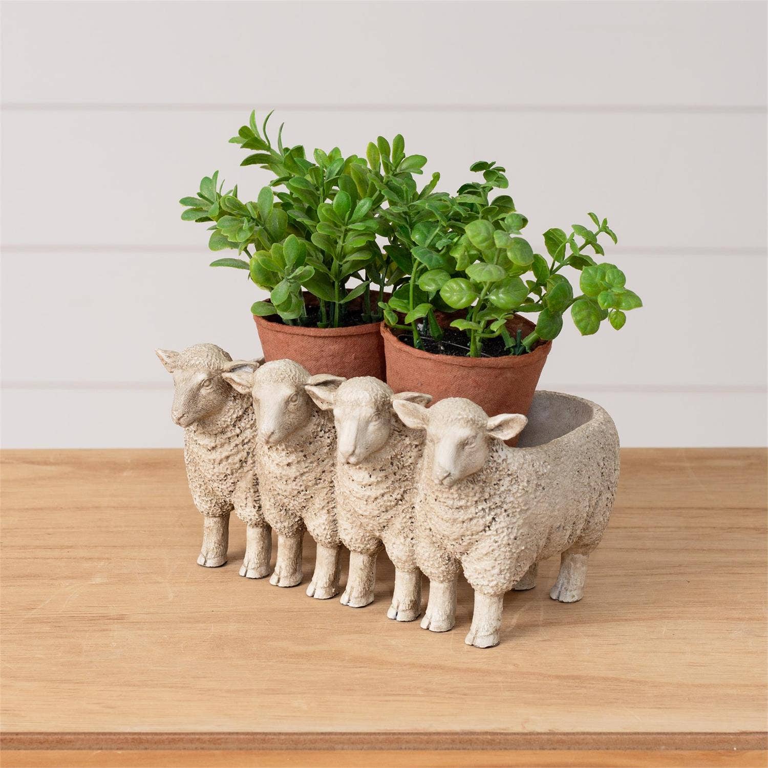 Group of Lambs Planter