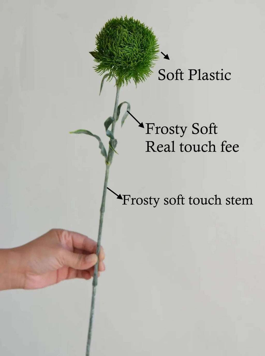 21.5" Dianthus Green Ball Fresh stem