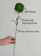 21.5" Dianthus Green Ball Fresh stem
