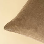 16x24 Vera Luxe Velvet Pillow, Birch