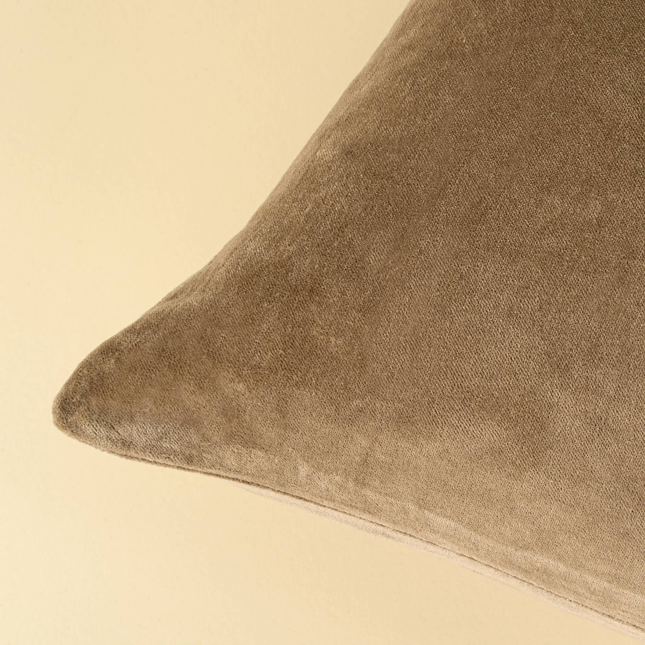 16x24 Vera Luxe Velvet Pillow, Birch