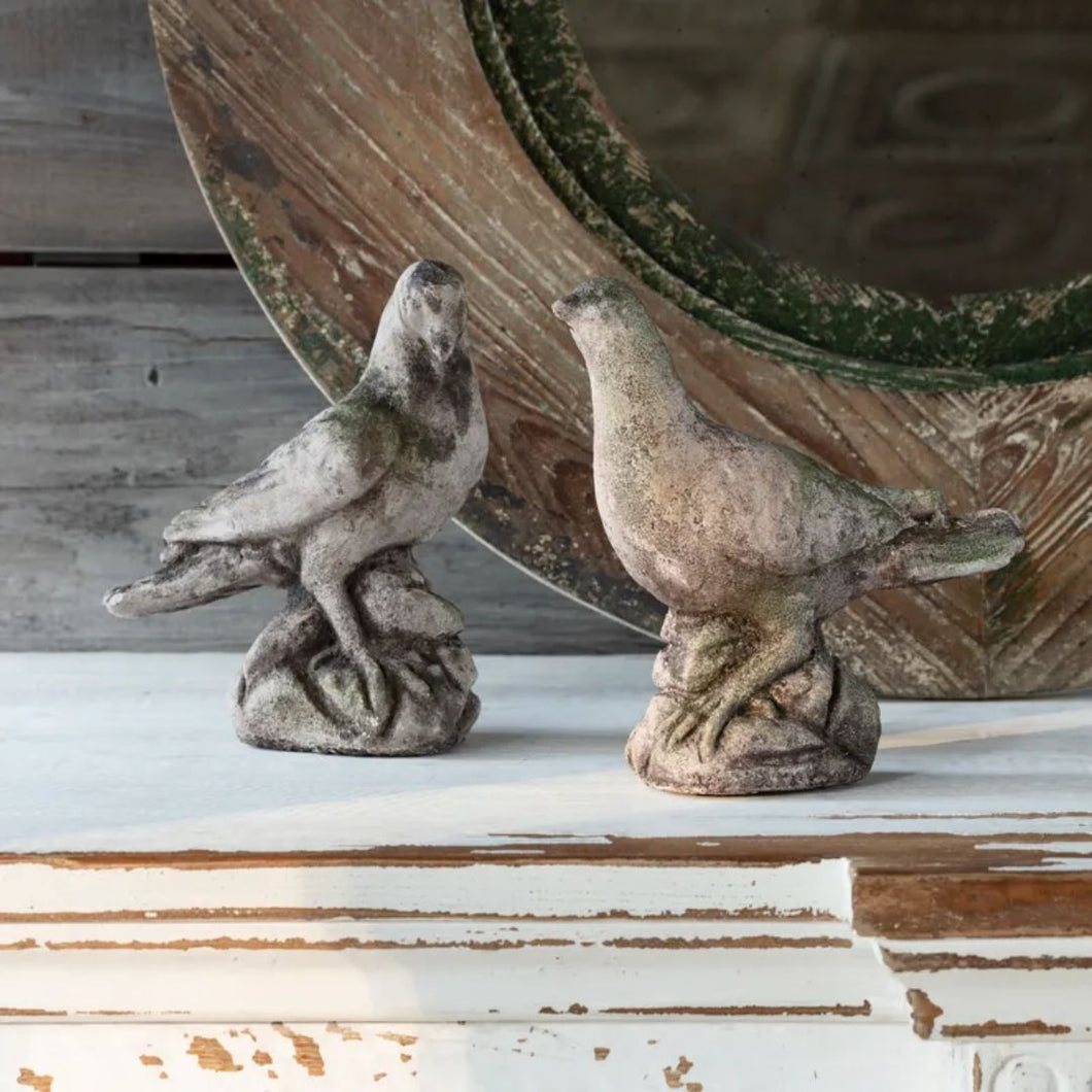 Aged Concrete Dove