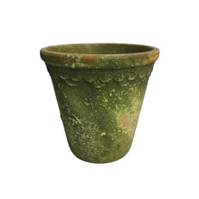 aged garden pot