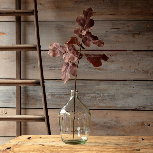 Autumn Fig Brown