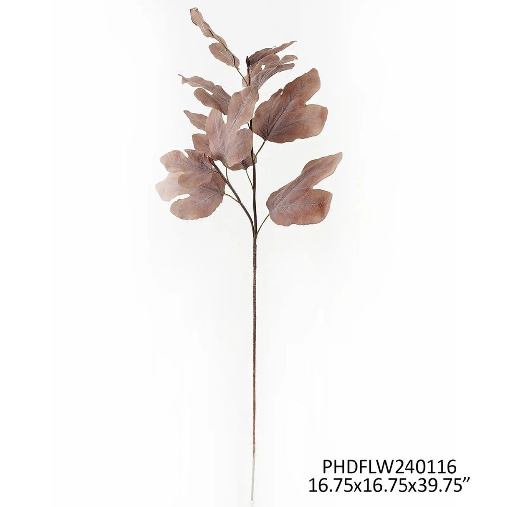 Autumn Fig Brown