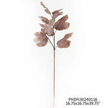 Autumn Fig Brown