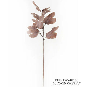Autumn Fig Brown