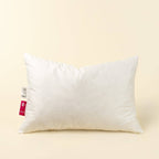 16x24 Bhavya Block Print Pillow
