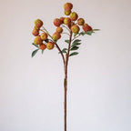 Fruit Lychee Stem 27"